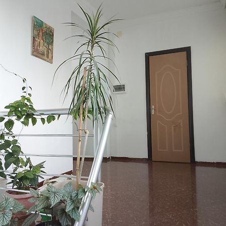 Jesis Batumi Hostel Exterior foto